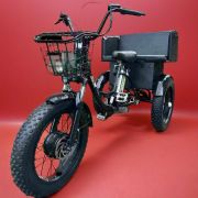 Трехколесный электровелосипед Fat Trike T LUX с задним сиденьем